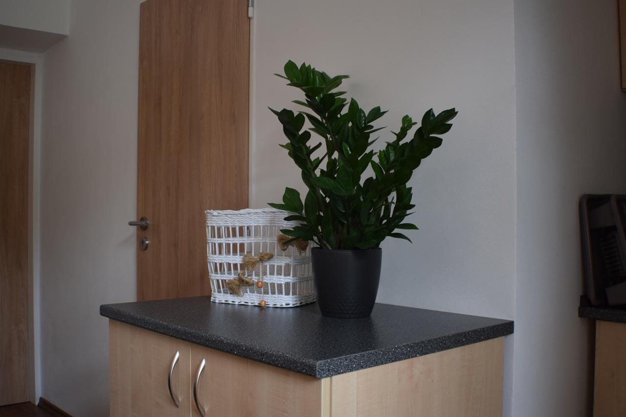 Apartmany Lipa Tabor Ngoại thất bức ảnh